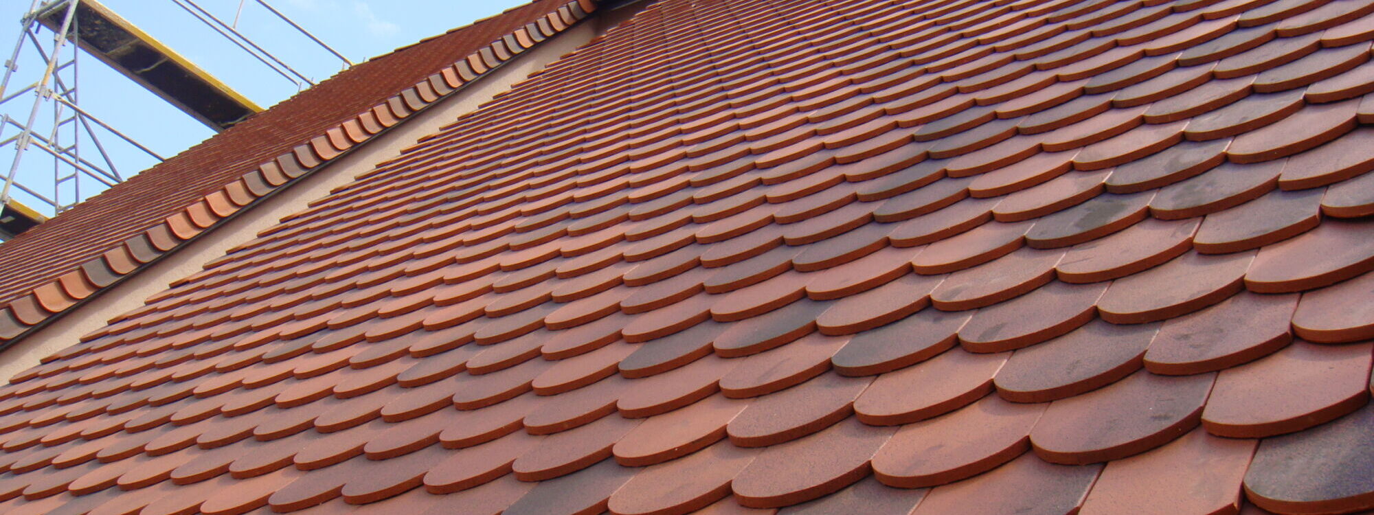 Couverture Saint-Louis